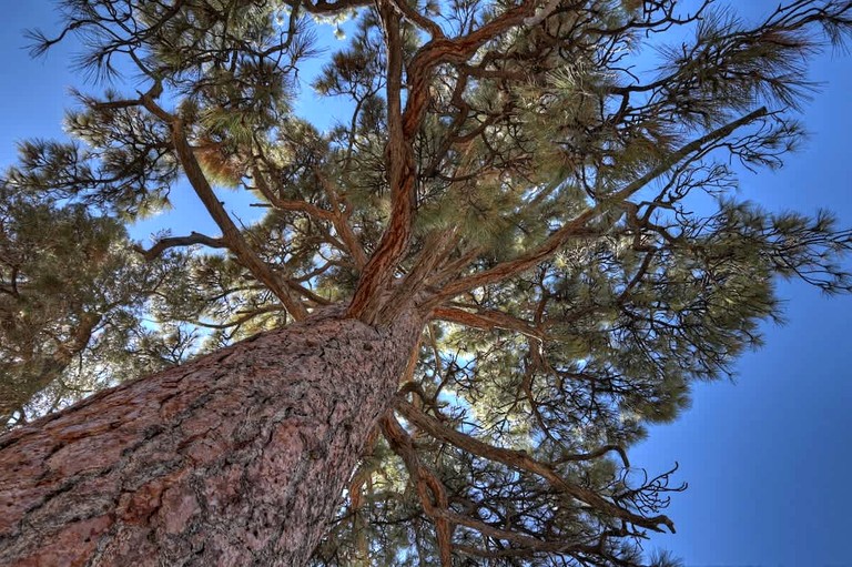 Cabins (United States of America, Big Bear, California)