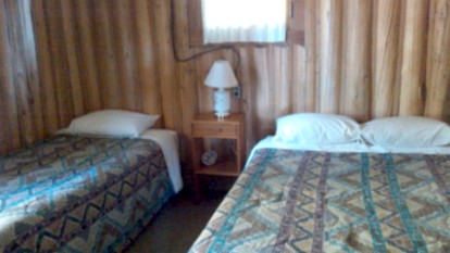 undefined photo 5