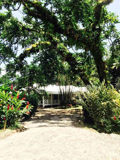 Cottage rental in Layou Valley in Dominica.