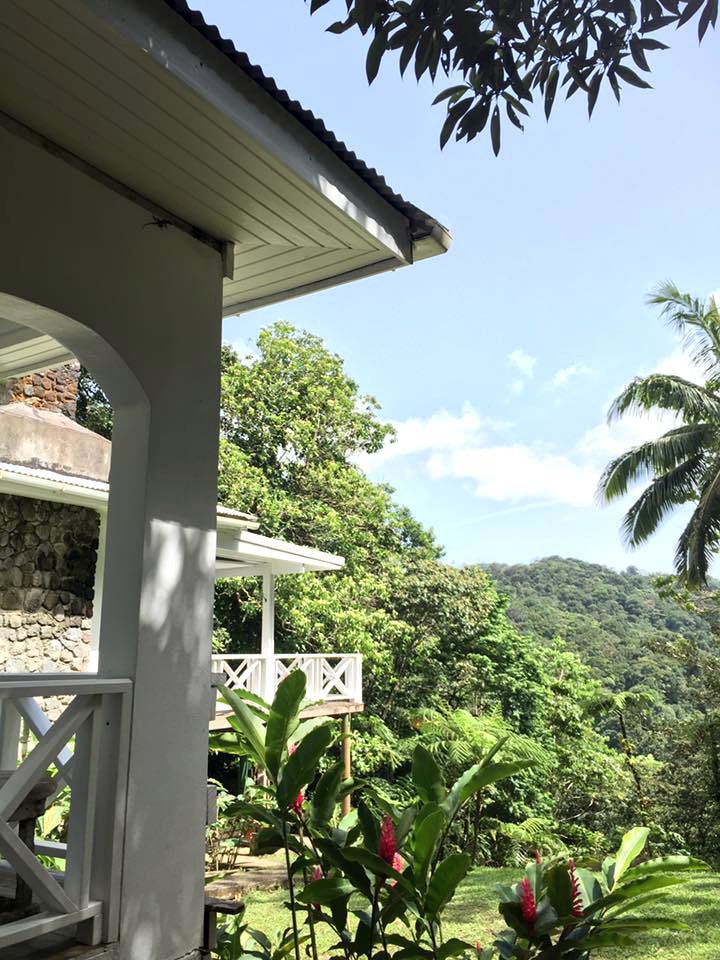 Exceptional Private Cottage Rental in Stunning Layou Valley of Dominica