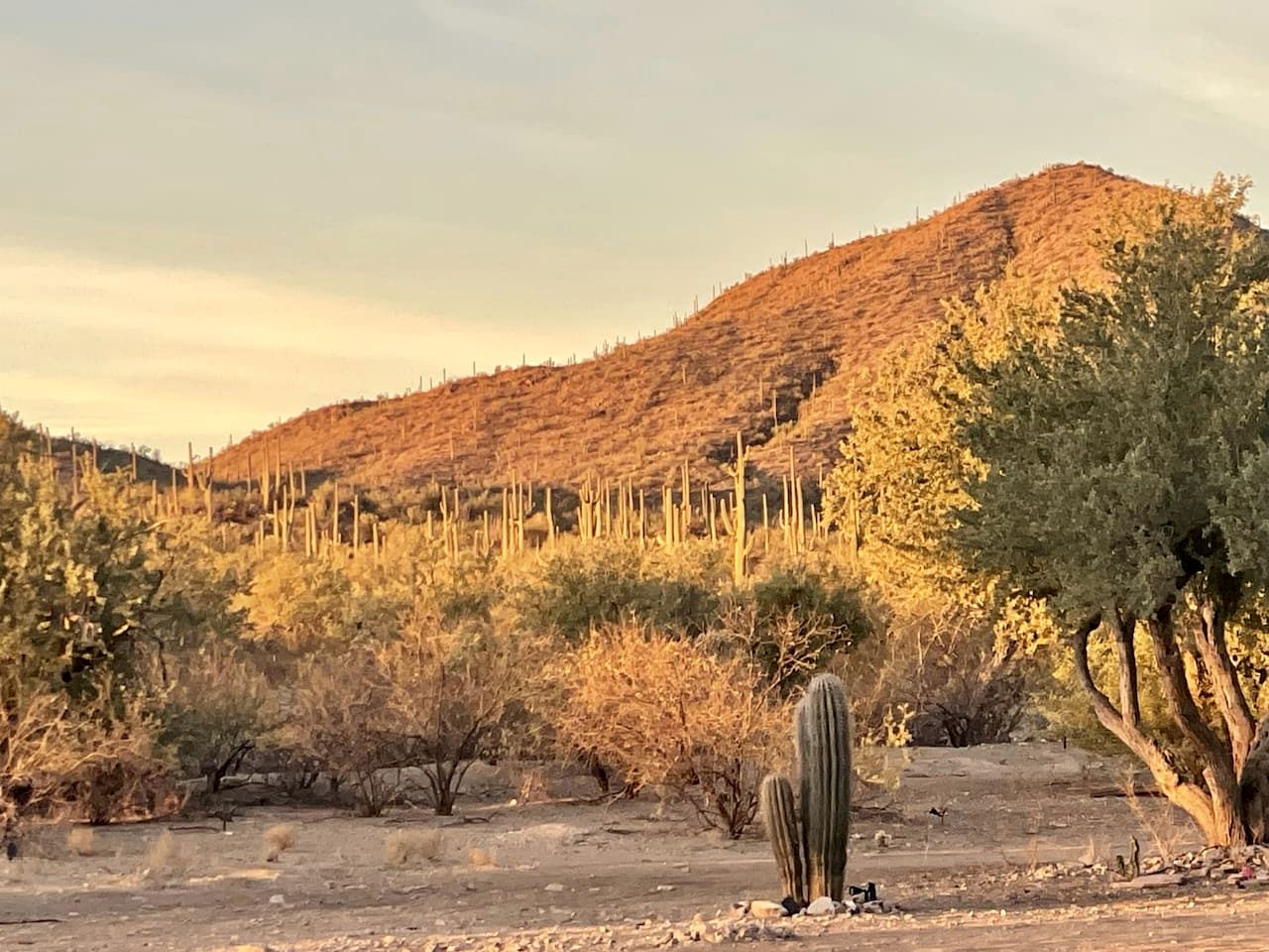 Exclusive Luxury Glamping Retreat on Historic Ranch near Saguaro National Park, Arizona