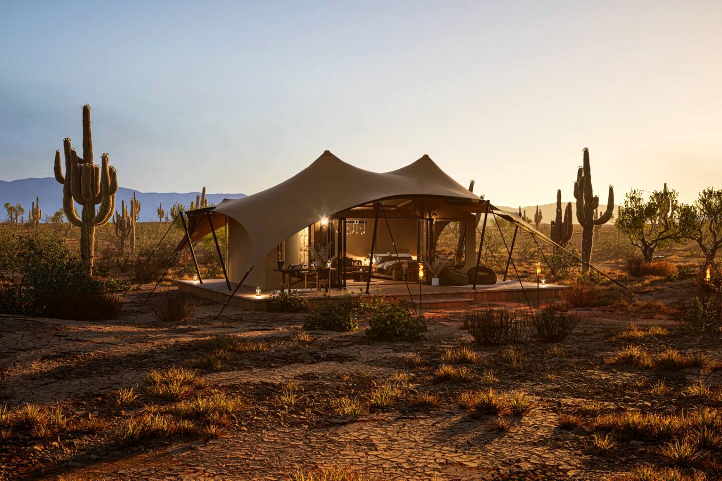 Exclusive Luxury Glamping Retreat with Stargazing & Desert Trails near Saguaro National Park, Arizona