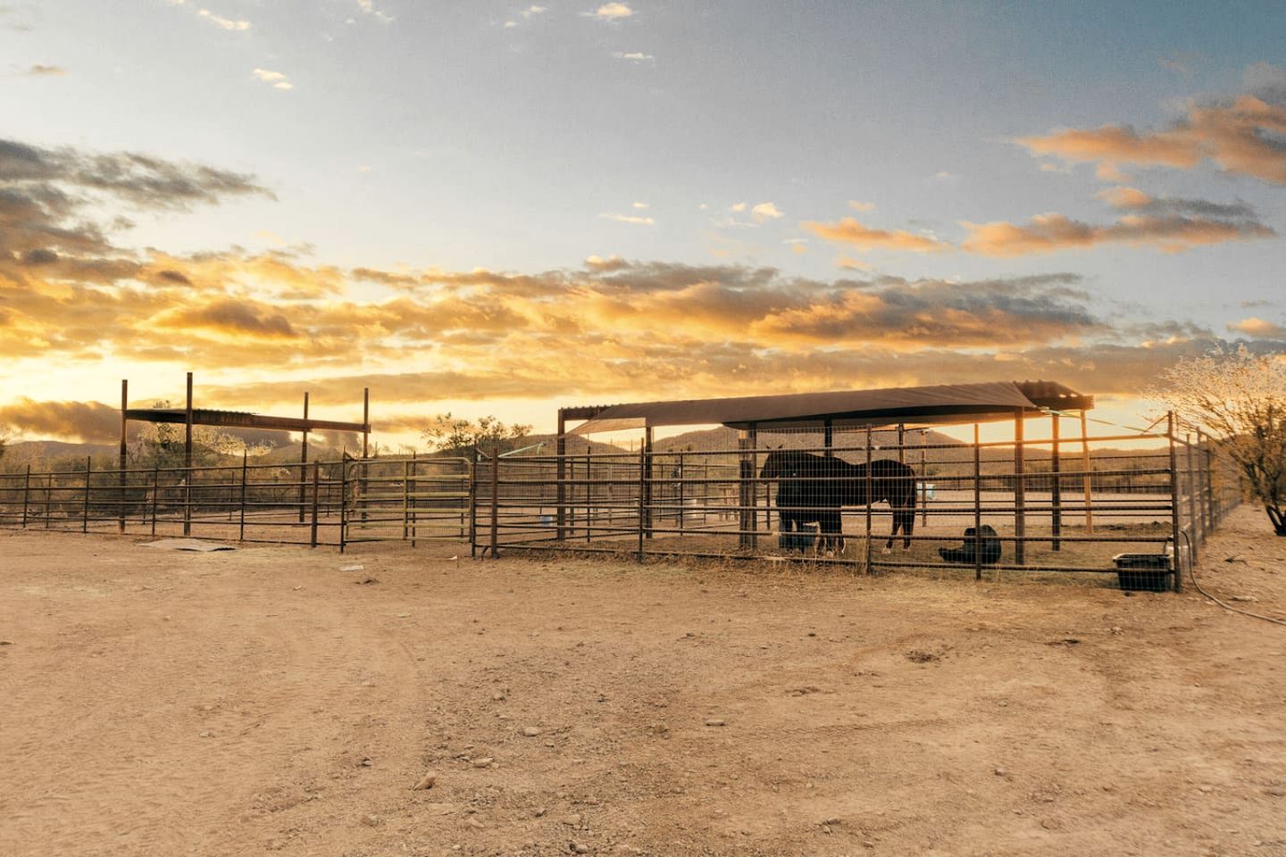 Exclusive Luxury Glamping Retreat with Stargazing & Desert Trails near Saguaro National Park, Arizona