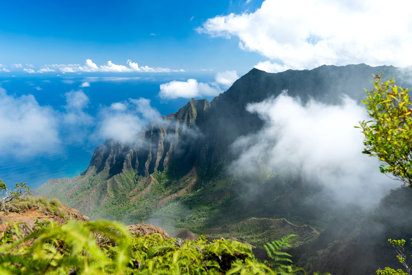 Exclusive Vacation Rental for Large Groups on the Shores of Anini Beach on the Island of Kauai in Hawaii