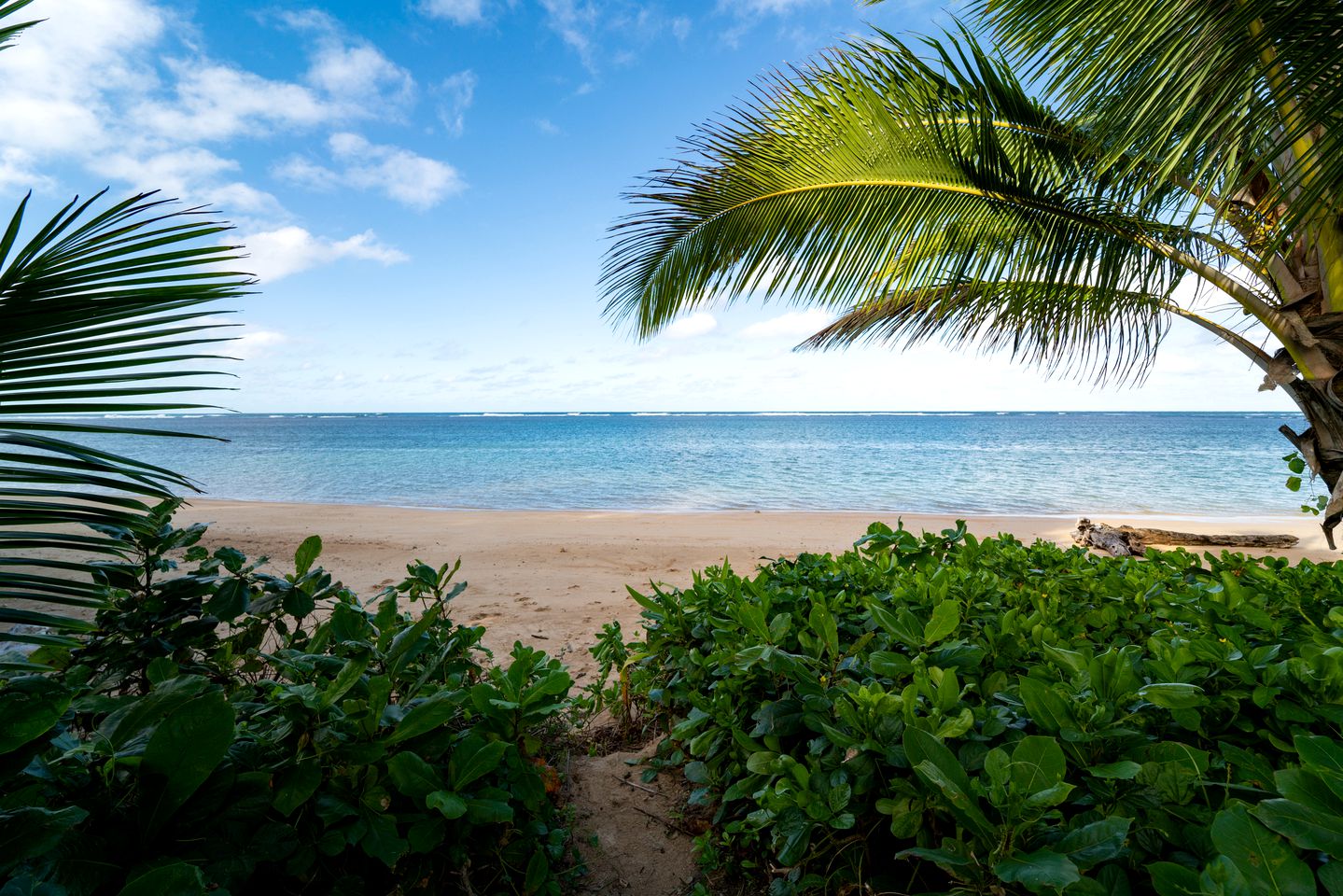 Exclusive Vacation Rental for Large Groups on the Shores of Anini Beach on the Island of Kauai in Hawaii