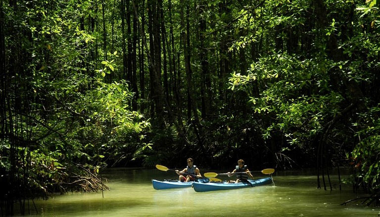 Nature Lodges (Osa Peninsula, Puntarenas, Costa Rica)