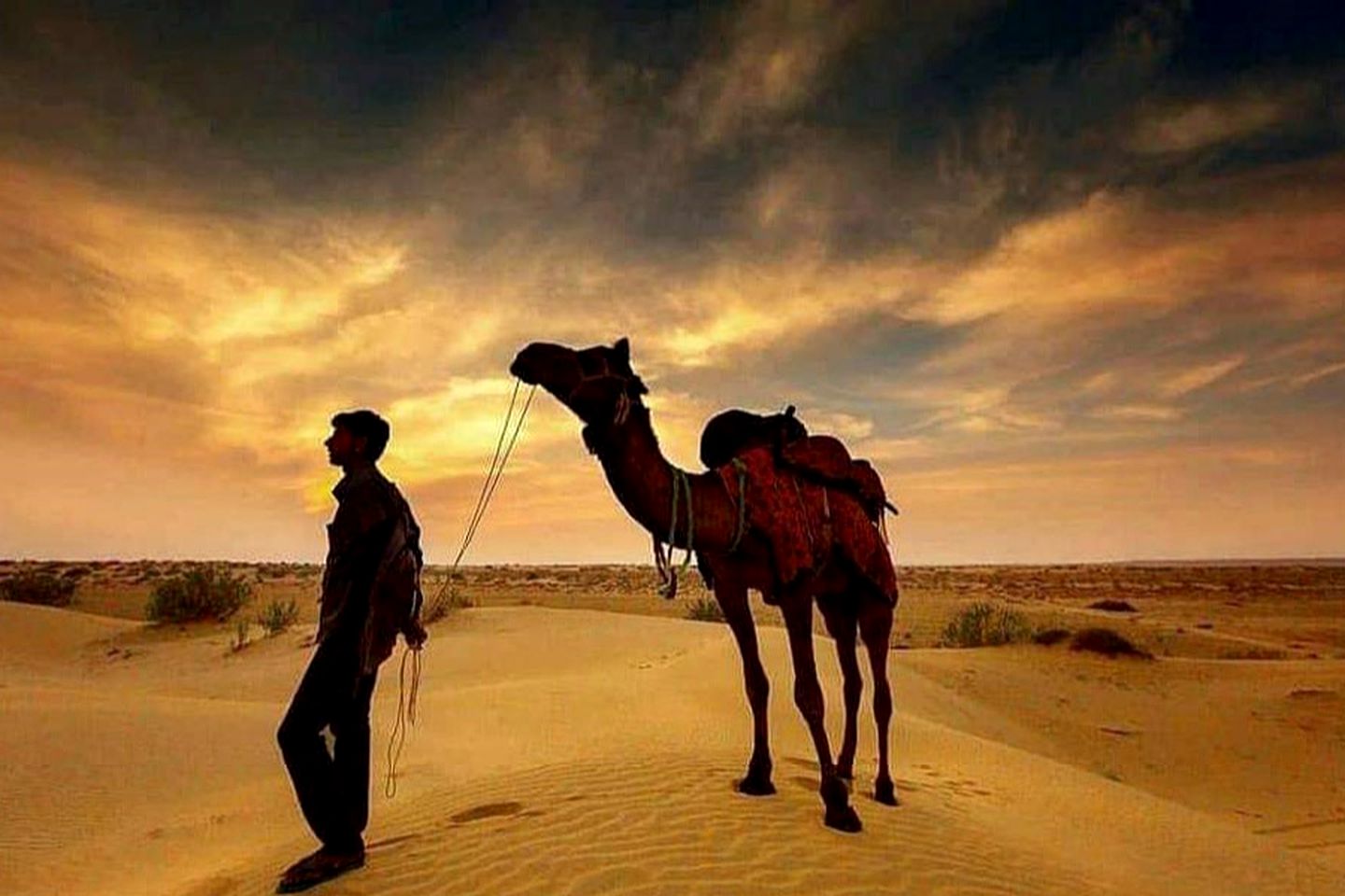 Luxury Tent Rental at an Exotic Glamping Resort in the Desert near Jaisalmer, India