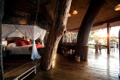 Exotic, Safari Escape along Zambezi River near Victoria Falls, Zambia photo 3