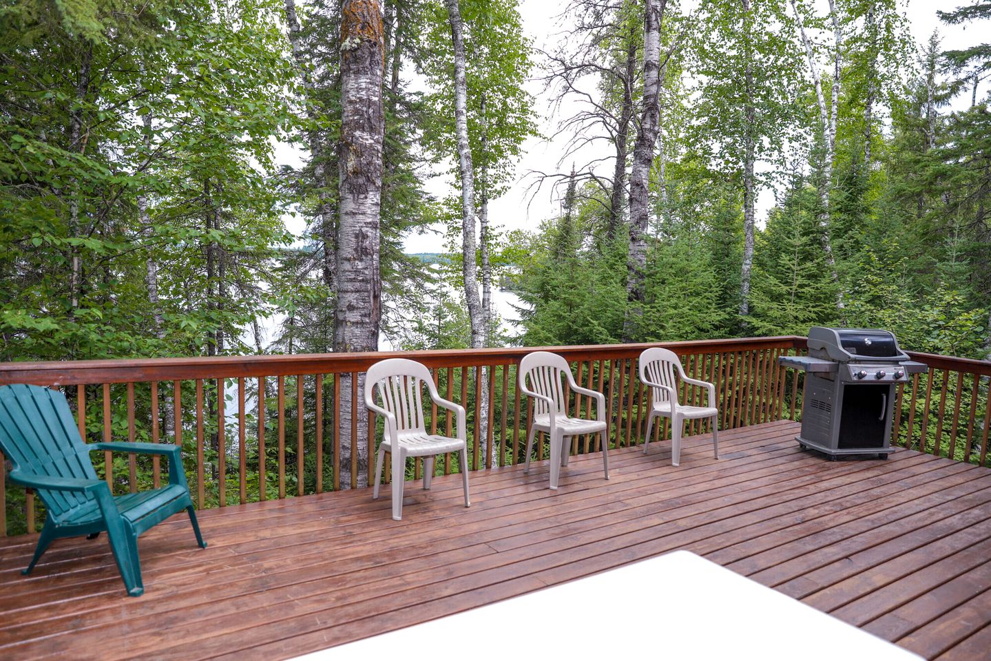 Expansive Birch Lake Cabin with Large Great Room & Outdoor Fun Near Babbitt, Minnesota