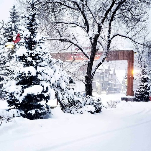 Cabins (United States of America, Big Bear Lake, California)