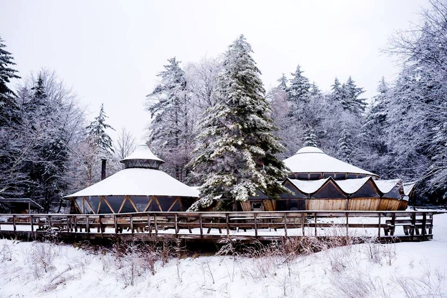 Unique Yurt Rentals for an Unforgettable Group Getaway near Riverton, West Virginia