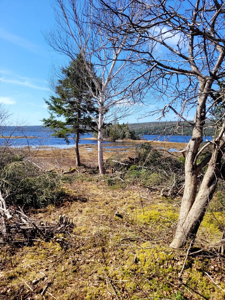 E﻿xperience Nature's Beauty: District of Guysborough Lakefront Cottage Escape