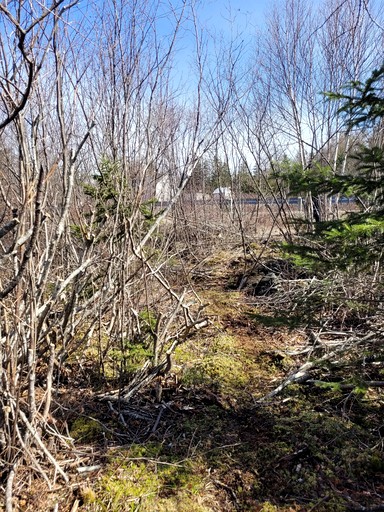 Cottages (Canada, Municipality of the District of Guysborough, Nova Scotia)