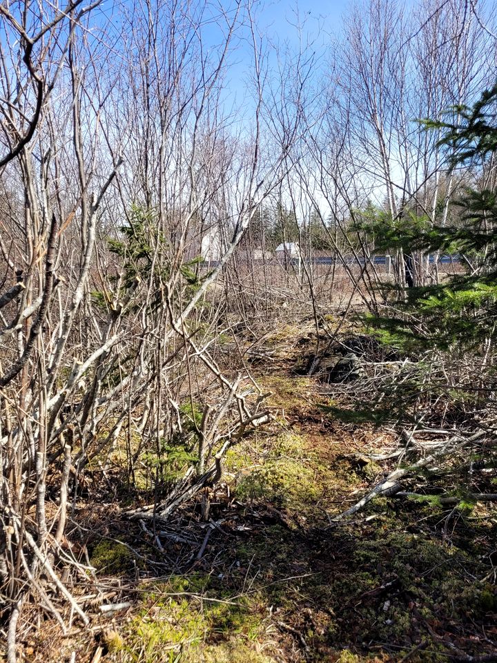 E﻿xperience Nature's Beauty: District of Guysborough Lakefront Cottage Escape