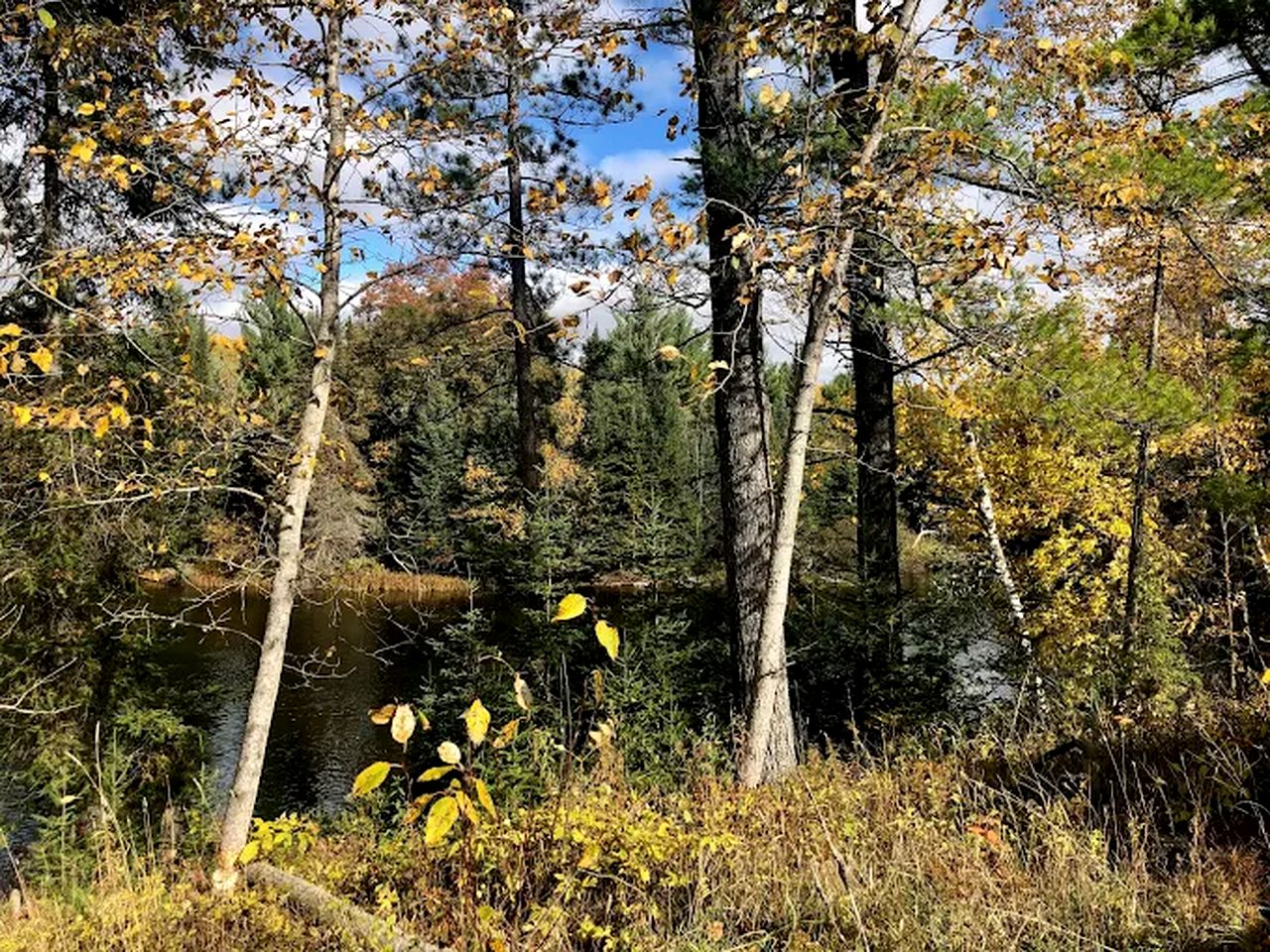 Idyllic Cabin Rental near the Au Sable River in Michigan