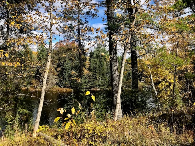 Idyllic Cabin Rental near the Au Sable River in Michigan | Cabins (Grayling , Michigan, United States of America)