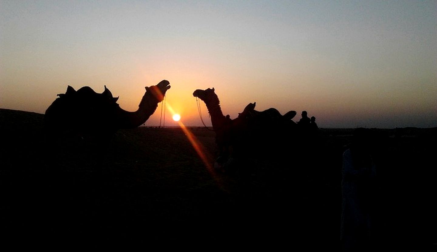 Extraordinary Sand Dune Adventures in Cottages near Jaisalmer, India