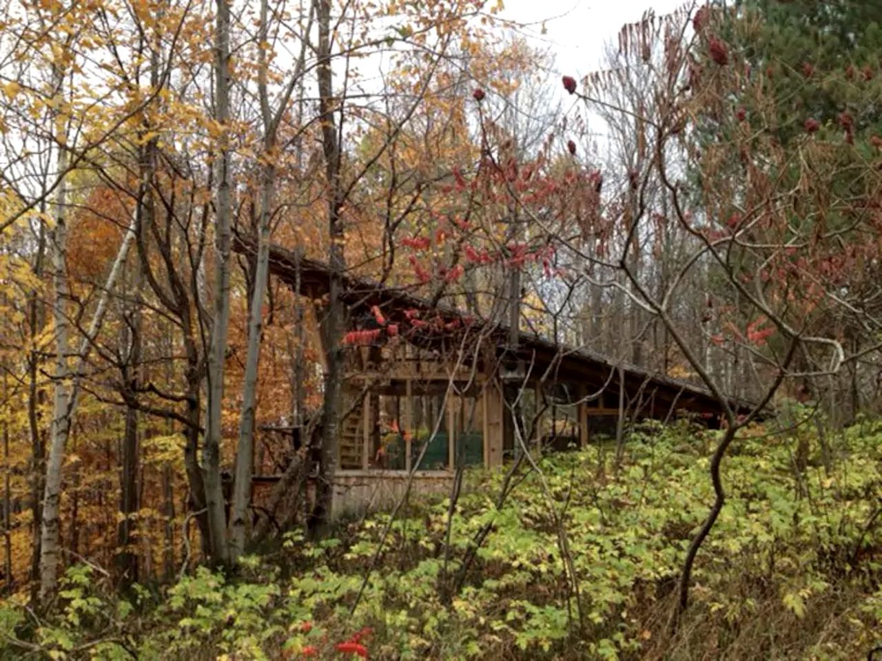 Extraordinary Tree House-Style Glamping Cabin on Farm near Ottawa