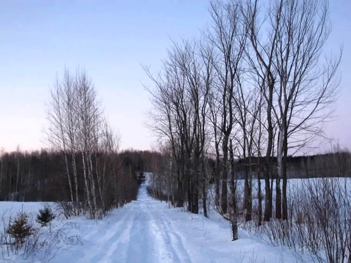 Cabins (Plantagenet, Ontario, Canada)