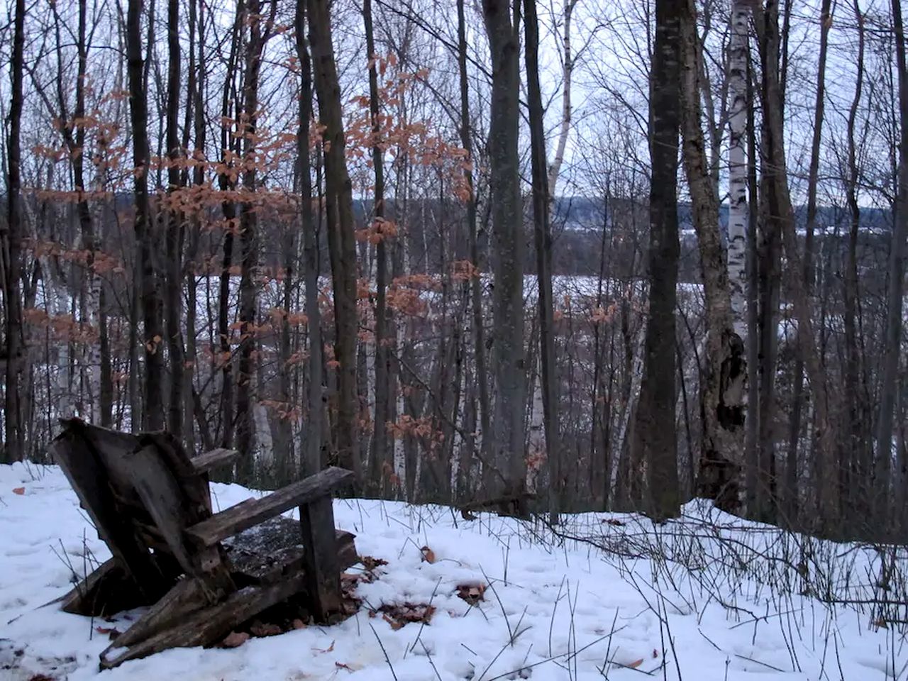 Extraordinary Tree House-Style Glamping Cabin on Farm near Ottawa