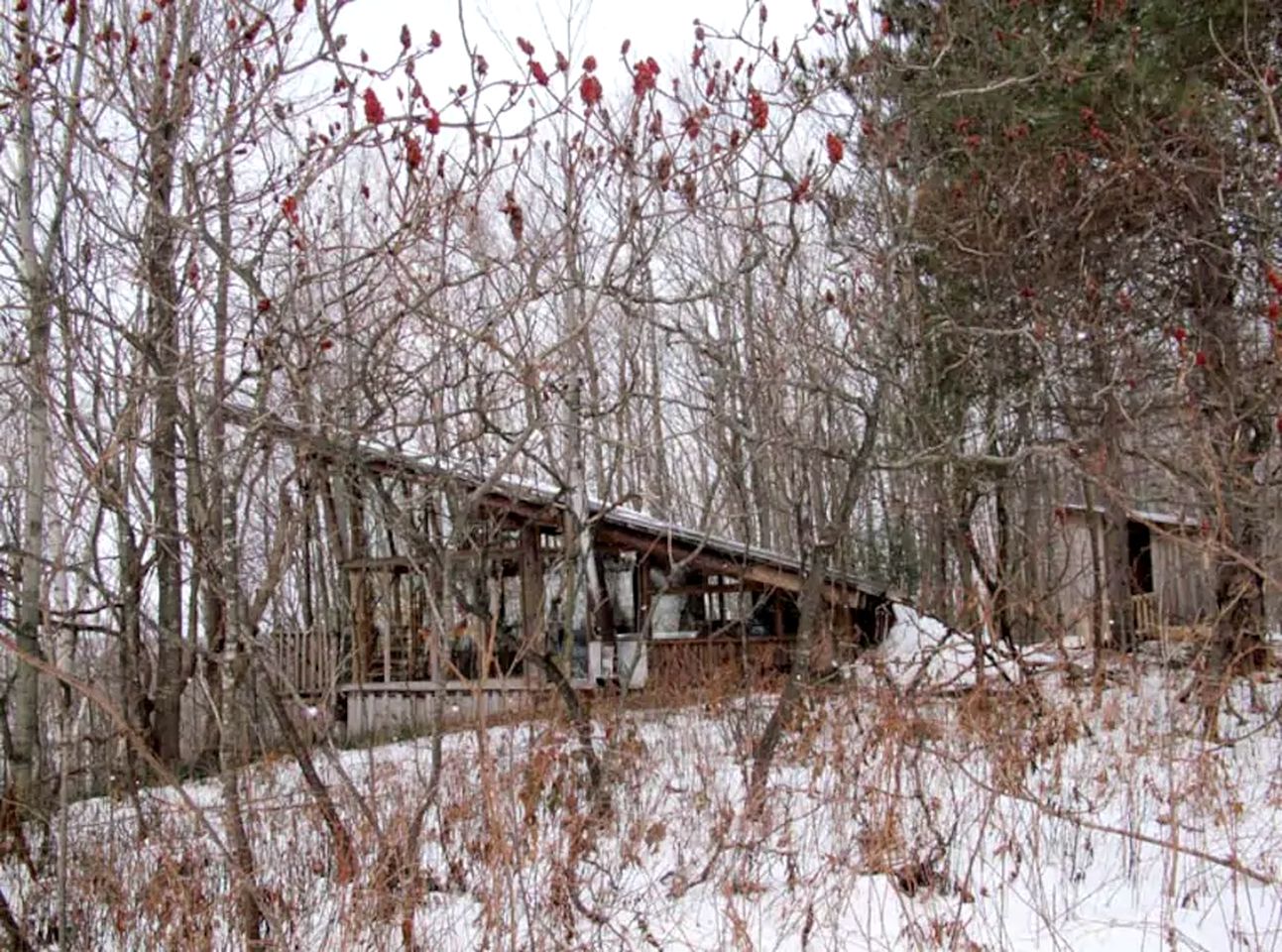 Extraordinary Tree House-Style Glamping Cabin on Farm near Ottawa