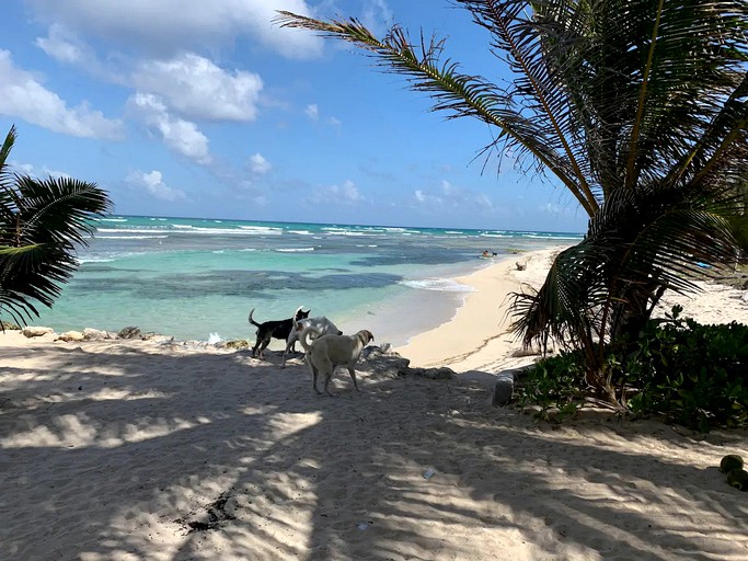 Beach Houses (Mahahual, Quintana Roo, Mexico)