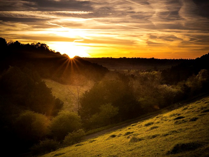 Bell Tents (Guildford, England, United Kingdom)