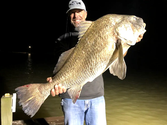 Caravans (Bay City, Texas, United States of America)