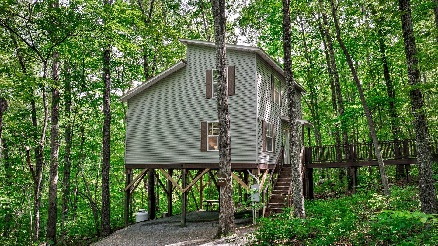 Fabulous and Luminous Cabin in Fort Payne, Alabama