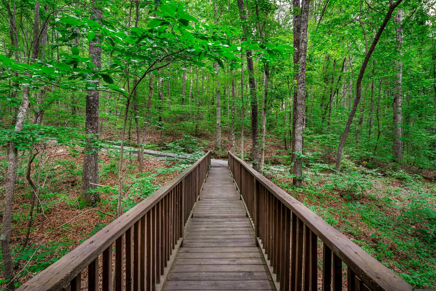Fabulous and Luminous Cabin in Fort Payne, Alabama