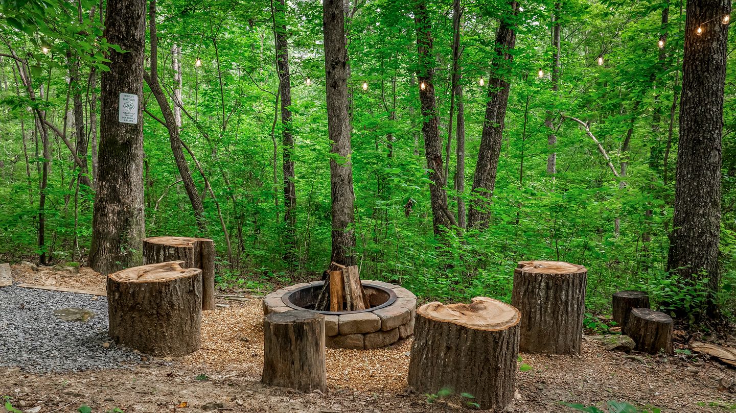 Fabulous and Luminous Cabin in Fort Payne, Alabama