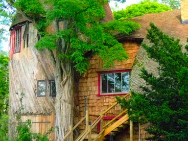Explore Pet Friendly Cabins In Massachusetts Glamping Usa