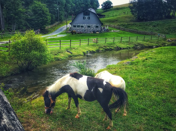 Barns (United States of America, Sugar Grove, North Carolina)