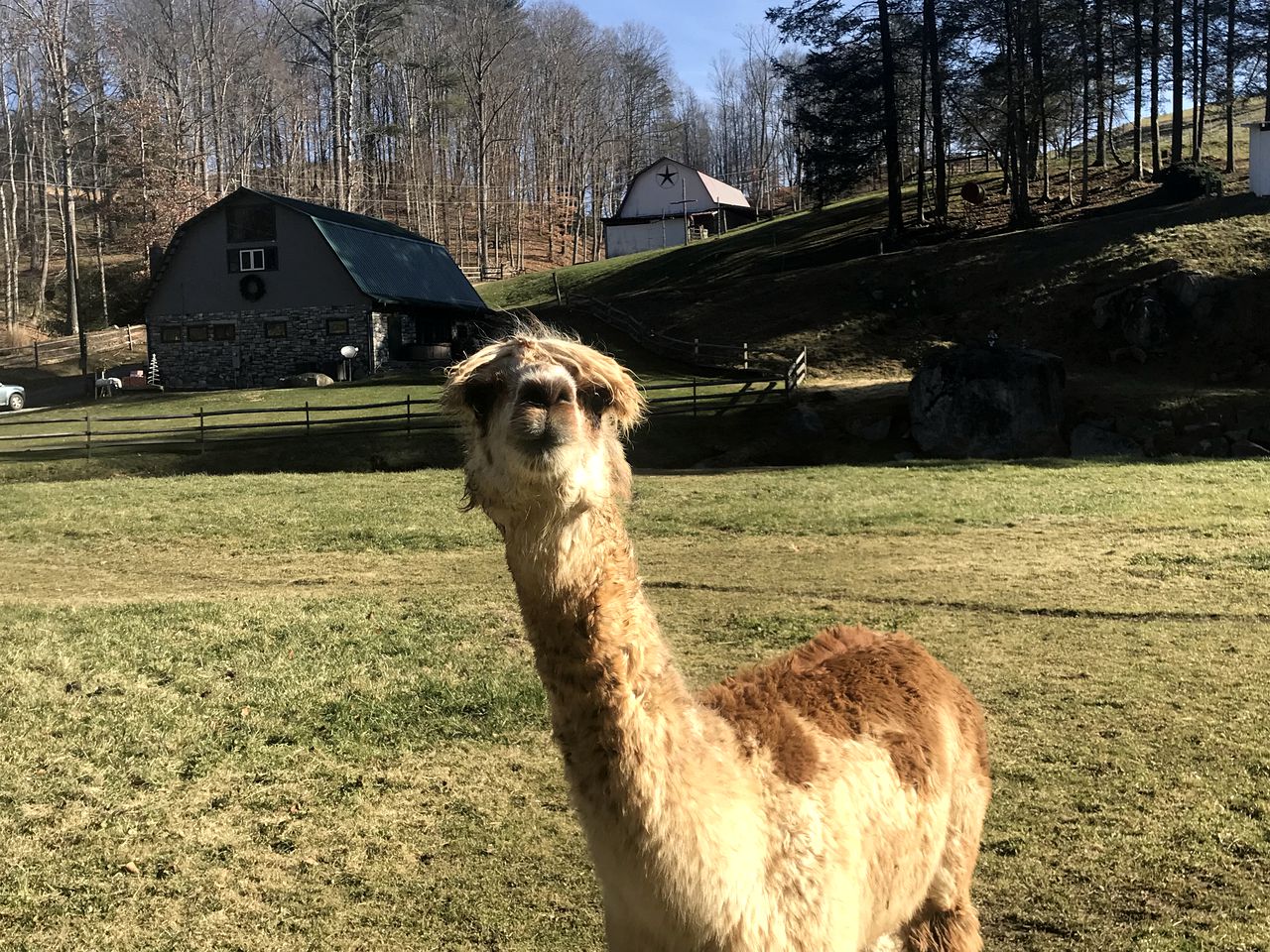 Fantastic Barn Suite with Hot-tub and Petting Zoo in Sugar Grove, North Carolina