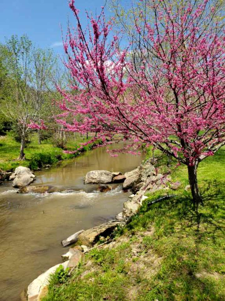 Fantastic Barn with Hot-tub and Petting Zoo in Sugar Grove, North Carolina