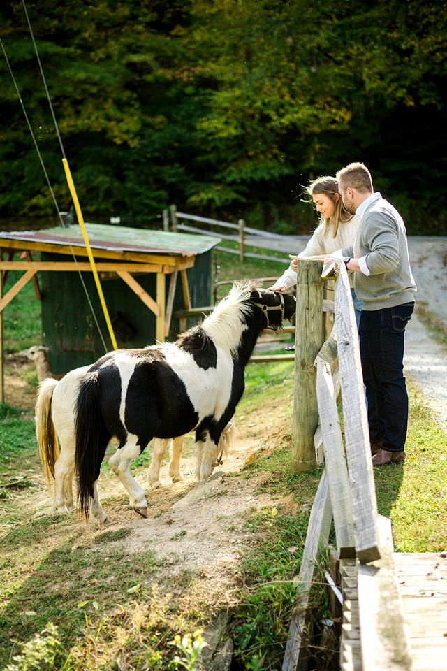 Fantastic Barn Suite with Hot-tub and Petting Zoo in Sugar Grove, North Carolina