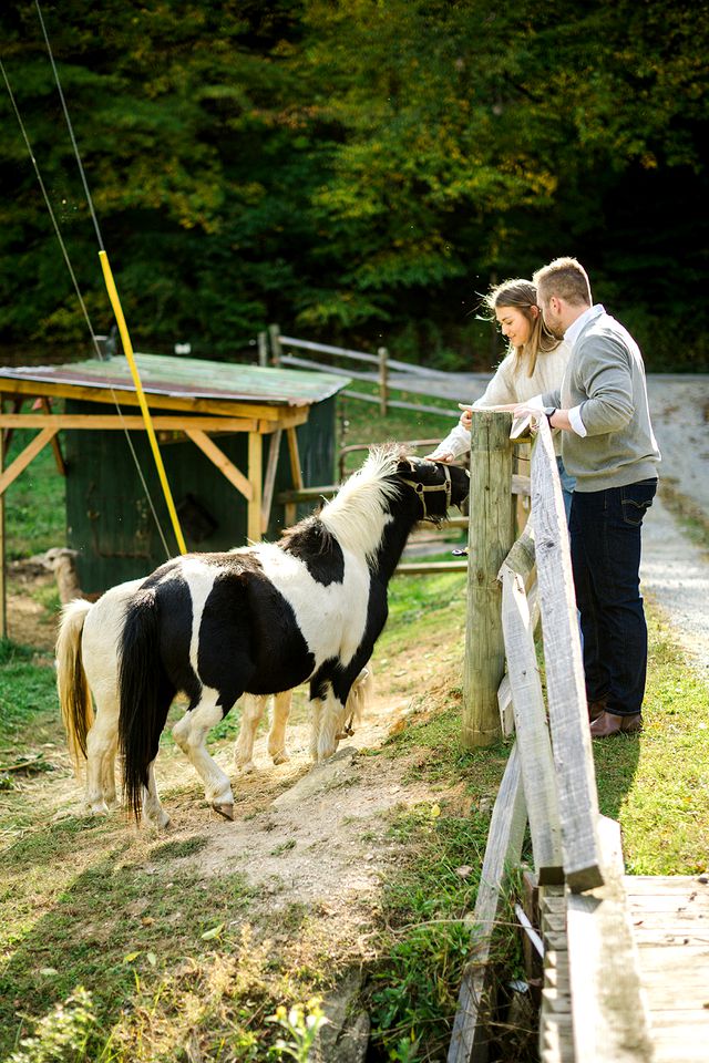 Fantastic Barn with Hot-tub and Petting Zoo in Sugar Grove, North Carolina