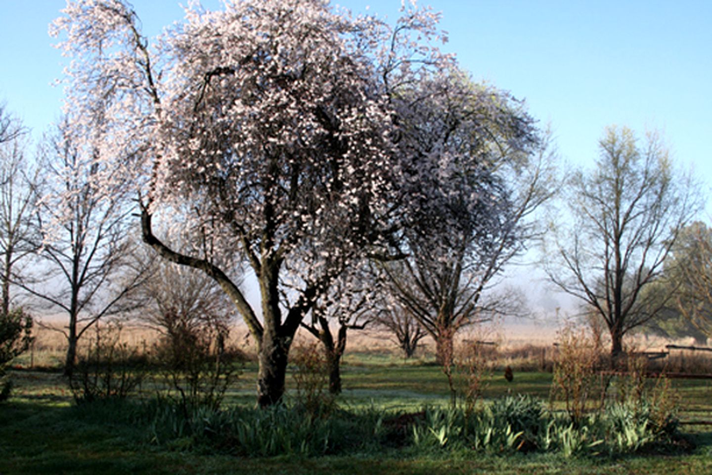 Fairytale Cottage Rental near Oxley Wild Rivers National Park in Armidale, New South Wales