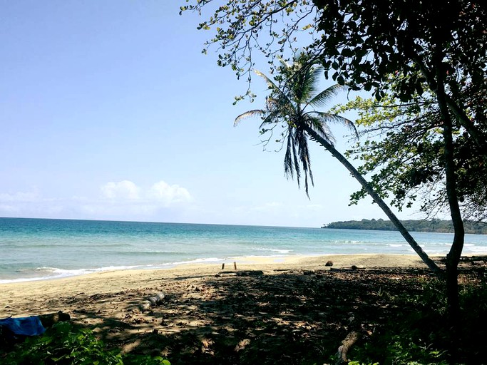 Bubbles & Domes (Limón, Limón, Costa Rica)