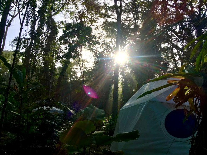 Bubbles & Domes (Limón, Limón, Costa Rica)