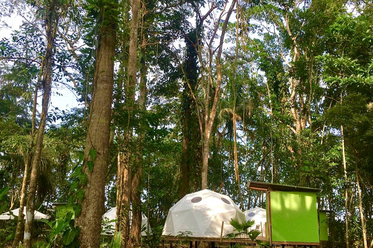 Bubbles & Domes (Limón, Limón, Costa Rica)