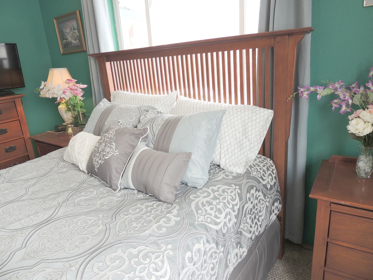 Cozy Bed and Breakfast with a Wonderful View near Denali Mountain, Alaska