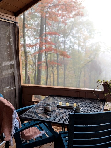 Cabins (United States of America, Black Mountain, North Carolina)