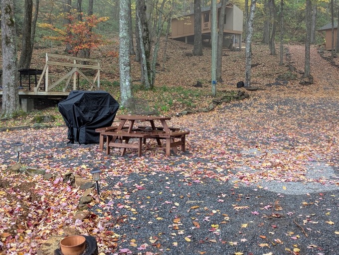 Cabins (United States of America, Black Mountain, North Carolina)