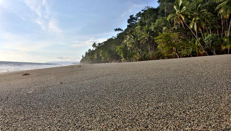 Cabins (Puerto Jiménez, Puntarenas, Costa Rica)