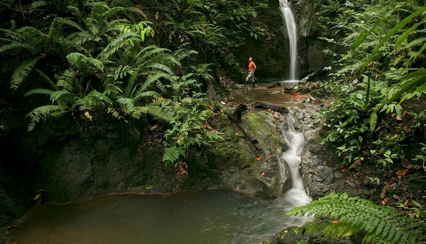 Family- and Group-Friendly Luxury Cabin on Osa Peninsula, Costa Rica