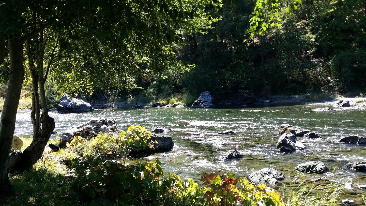 Family-Size Cottage with Trinity River Views in California