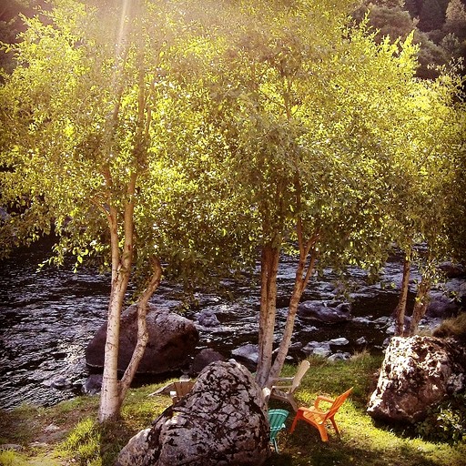 Cottages (United States of America, Big Flat, California)