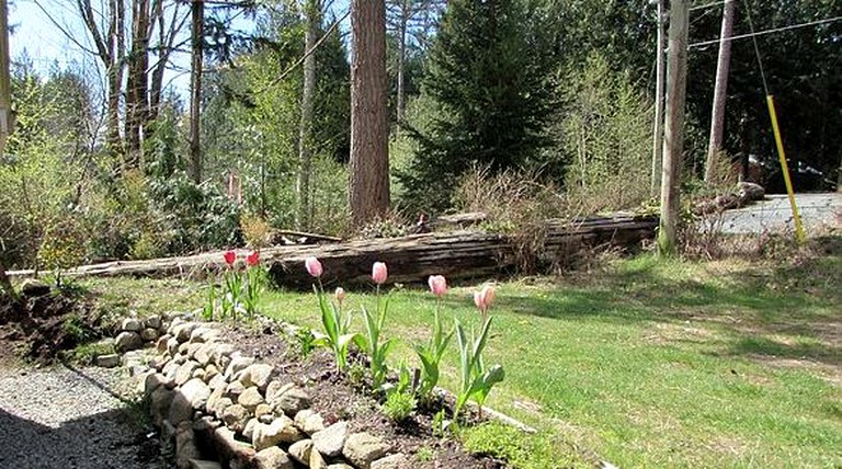 Nature Lodges (Powell River, British Columbia, Canada)