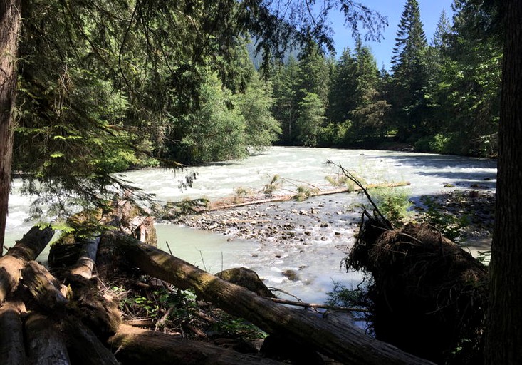 Cabins (Glacier, Washington, United States)